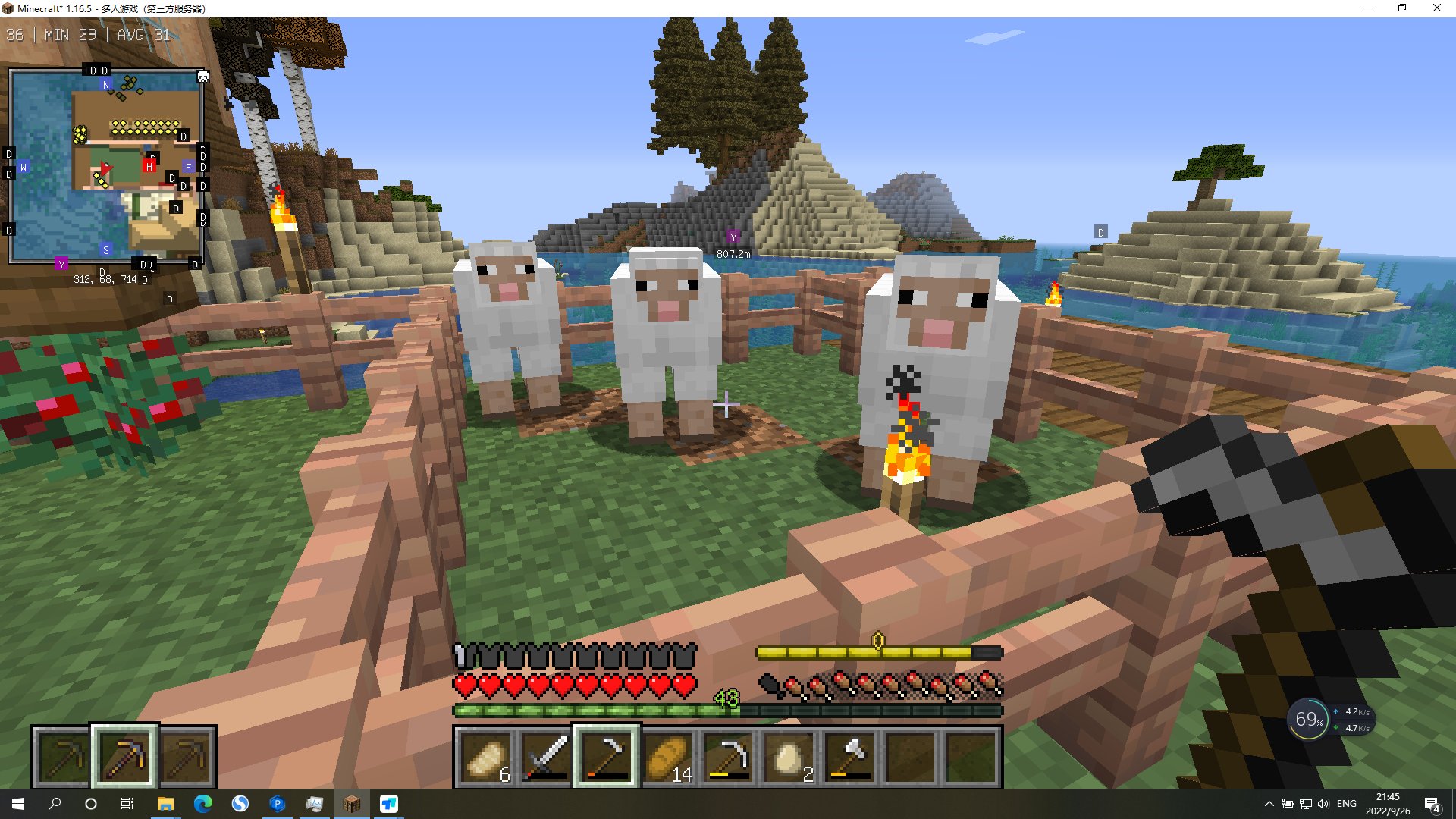 森林 豪华版 截图2