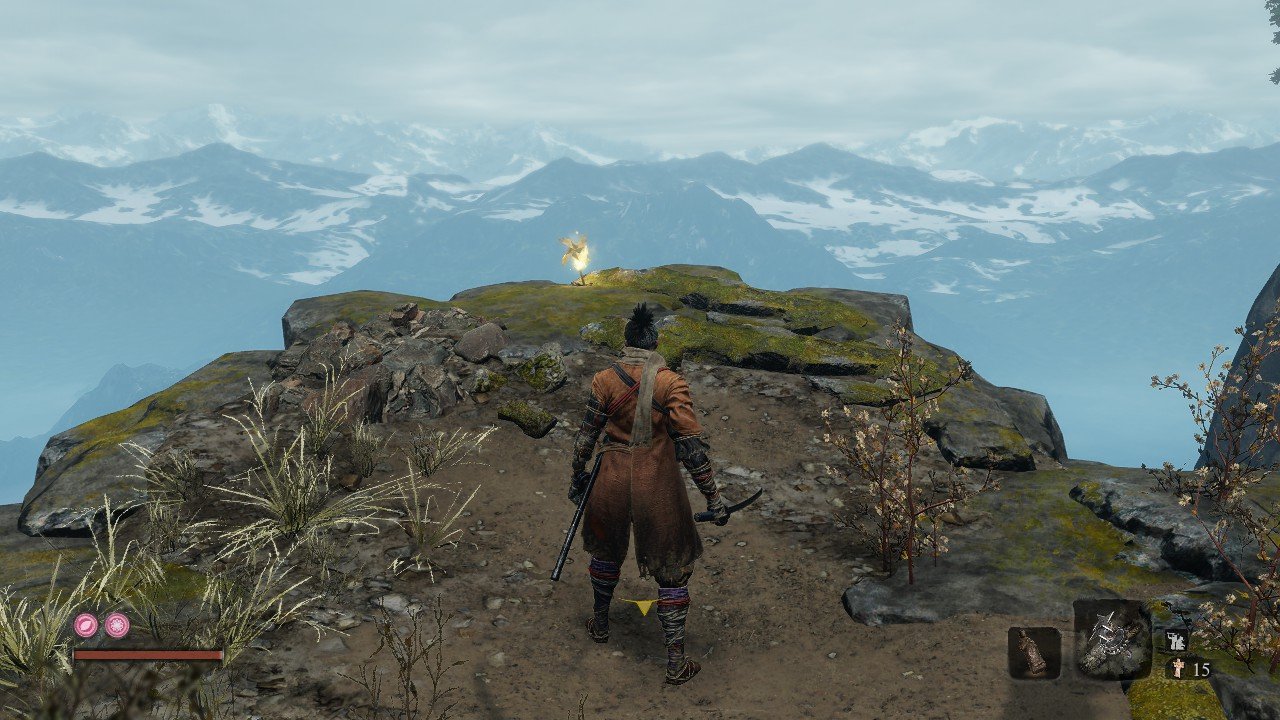 空洞骑士 豪华版 截图13